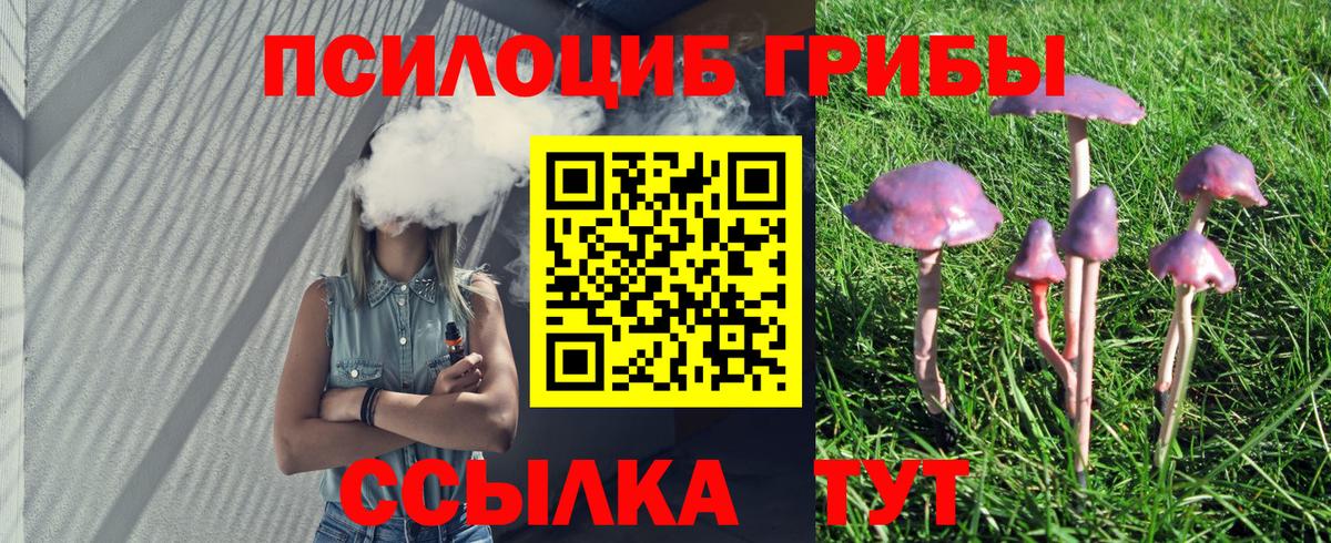 Галлюциногенные грибы GOLDEN TEACHER Белогорск